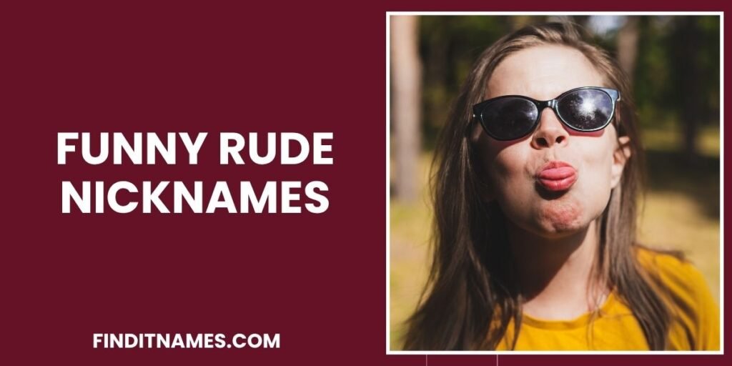 Funny Rude Nicknames