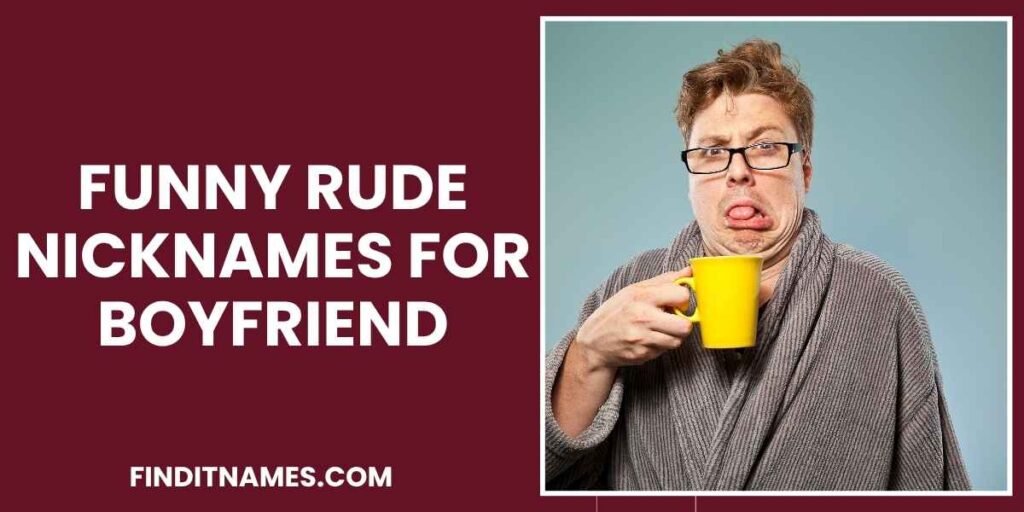 Funny Rude Nicknames for Boyfriend
